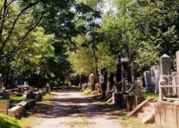 Mor til 5 død i tragisk ulykke på kirkegård￼