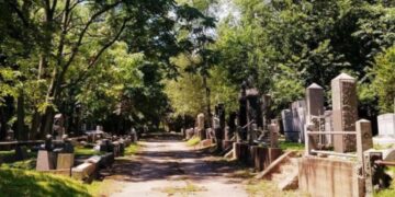 Mor til 5 død i tragisk ulykke på kirkegård￼