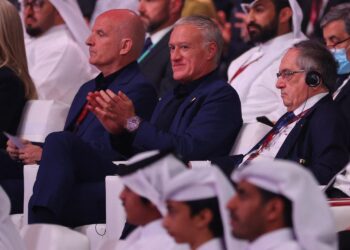 Fransk landstræner fremhæver Danmarks resultater