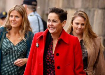 SF-ordfører dropper at genopstille ved næste valg