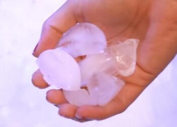 Med dette ekstremt enkle trick fryser dine isterninger hurtigere