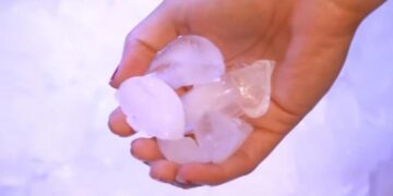 Med dette ekstremt enkle trick fryser dine isterninger hurtigere