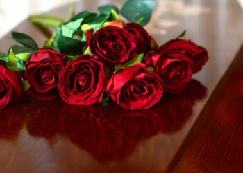 Stjerneskuespiller død