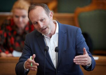 Radikal leder: Vi blev ikke advaret i gamle forsvarsforlig