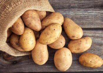 Derfor må du aldrig opbevare kartofler i køleskabet: 10 tips der kan spare dig både mad og penge