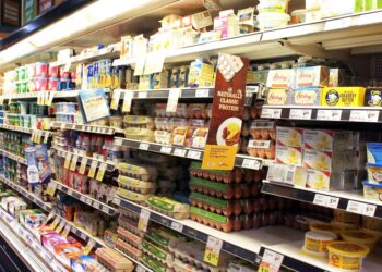 Søstre sparer 4.000 kroner om måneden: Sådan gør de