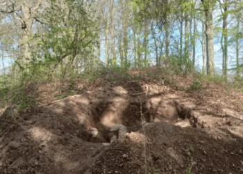 Dansk Gravhøj Ødelagt og Passagegrav Beskidt med Graffiti ￼