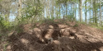 Dansk Gravhøj Ødelagt og Passagegrav Beskidt med Graffiti ￼