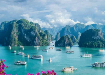 Denmark Joins Germany, Hungary, Romania, Croatia, Poland, Switzerland And More As Vietnam Sees Explosive Growth After New Visa-Free Entry Policy