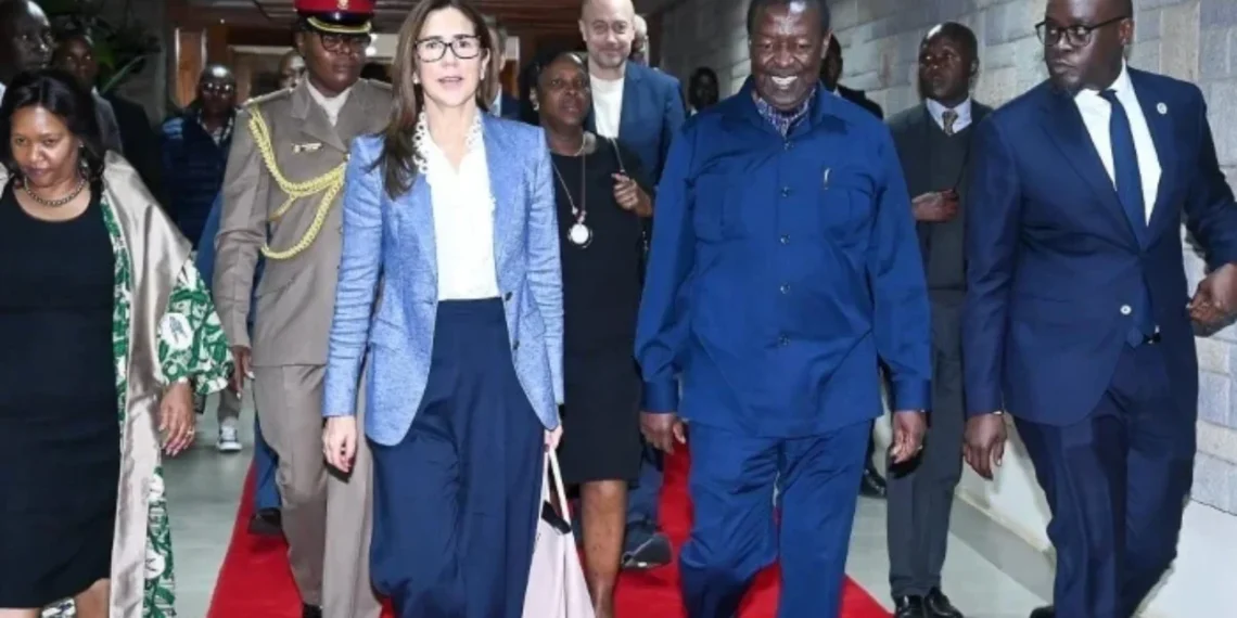 Queen Mary shares Christmas cheer with young cancer patients at Kræftværket